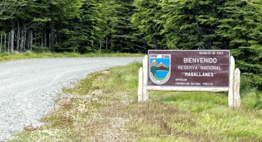 reserva nacional magallanes trekking