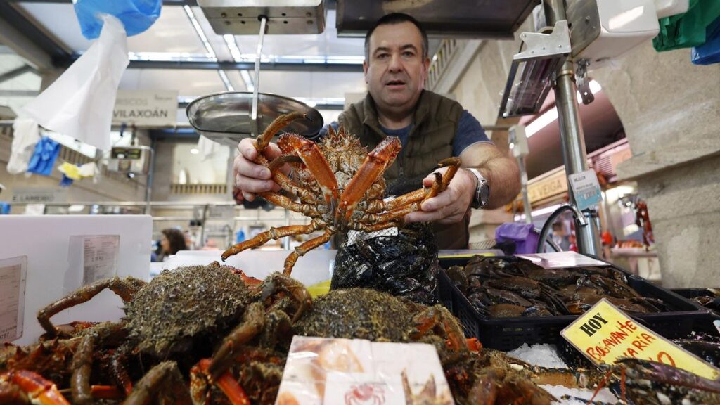Comprar centolla en mercado municipal de punta arenas