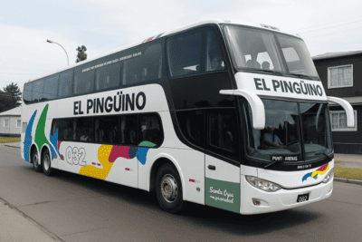 comprar pasaje en buses el pinguino punta arenas - natales