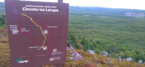 conocer el circuito las lengas en la reserva nacional magallanes