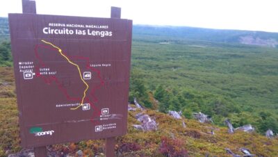 conocer el circuito las lengas en la reserva nacional magallanes