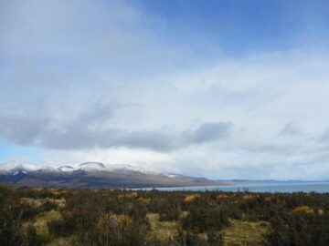 Buceo en el Estrecho de Magallanes – Aventura Submarina en Punta Arenas (2026)