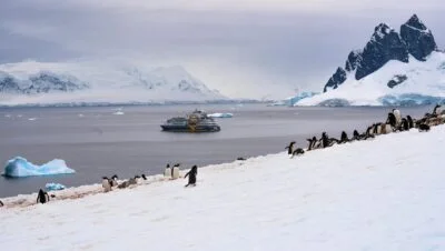Cotizar viaje Antártica Punta Arenas