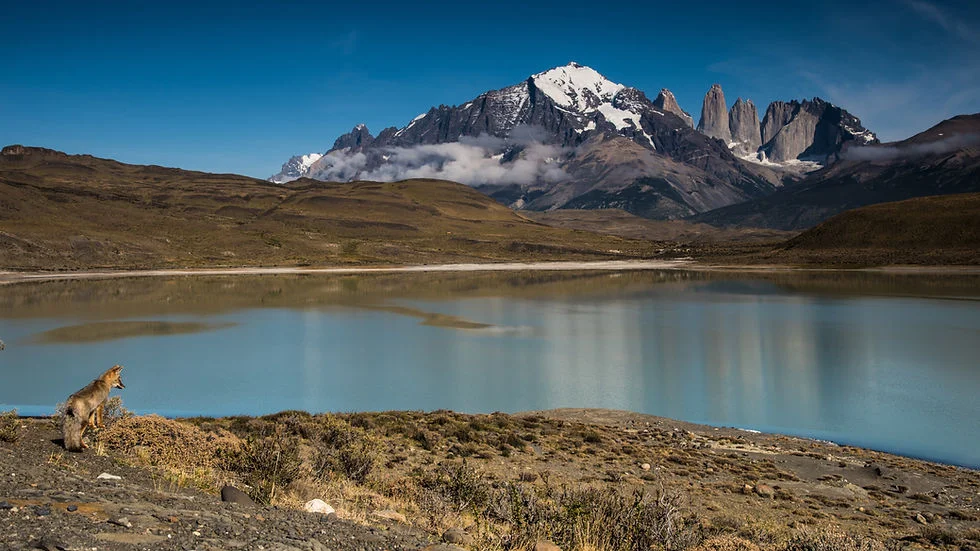 descubre-la-esencia-natural-del-parque-nacional-laguna-parrillar-un-santuario-de-biodiversidad-y-aventura