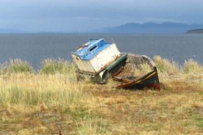 ¿Merece la pena visitar Punta Arenas, Chile en 2026? Descubre sus maravillas y atracciones imperdibles