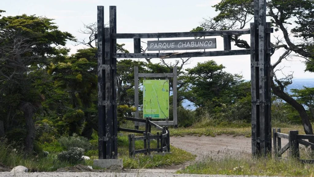 Cual-es-la-mejor-forma-de-explorar-el-Parque-Chabunco-en-Punta-Arenas