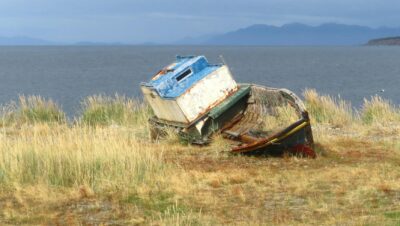 Qué Hacer en Punta Arenas en 2026: Descubre las Mejores Actividades para los Amantes de la Naturaleza