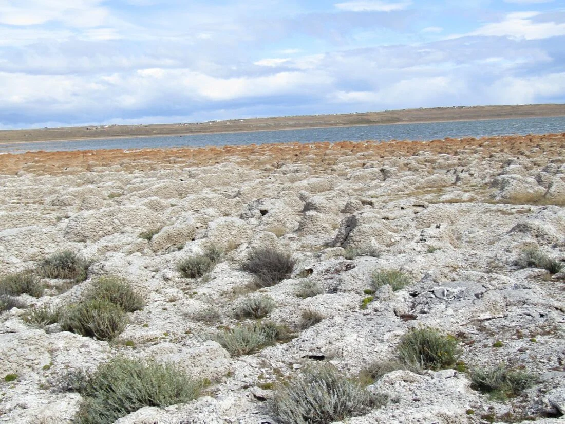 lago de los cisnes punta arenas